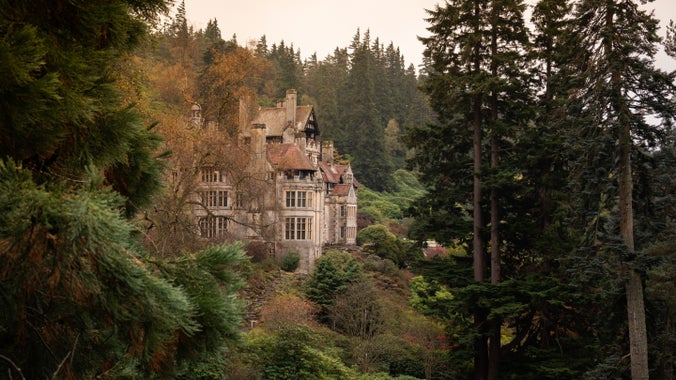 Cragside House nestled among the towering trees.